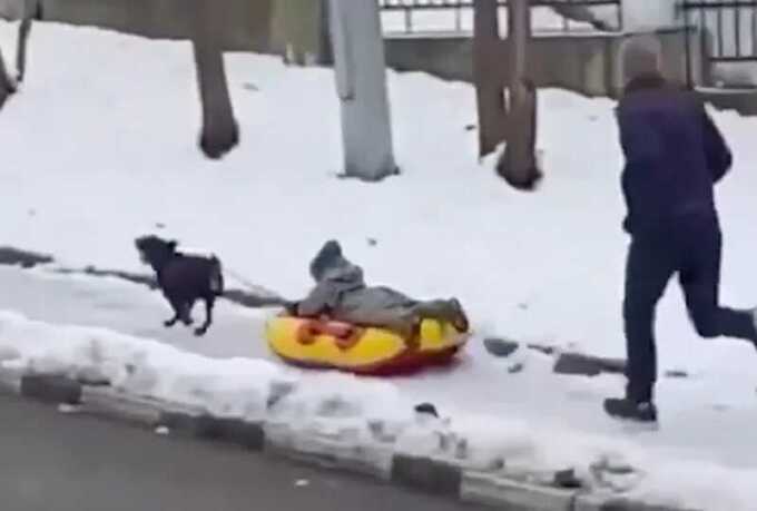 Погоня россиянина за привязанной к собаке ватрушкой с сыном попала на видео